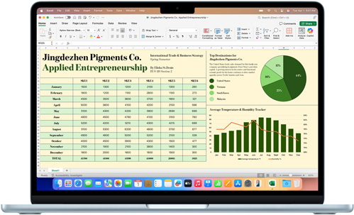 Microsoft Excel app shown on a MacBook Air