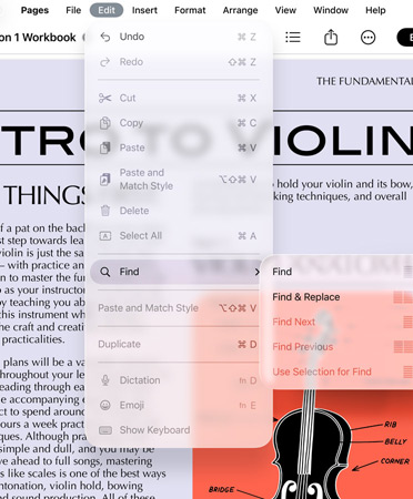 Close-up of menu bar with options for Undo, Redo, Cut, Copy, Paste and more