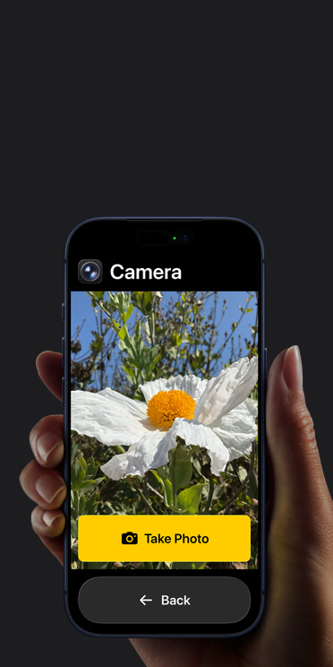 iPhone 17 Pro screen showing simplified Camera app interface with a white flower in the frame, “Take Photo” button and “Back” button below