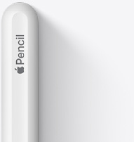 The top of Apple Pencil 2nd generation is shown with a rounded tip, Apple logo and the word Pencil.
