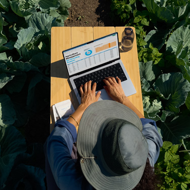 Bird’s-eye view of a woman in a wide-brimmed hat working on a business presentation on a MacBook, sitting at a table in a garden.